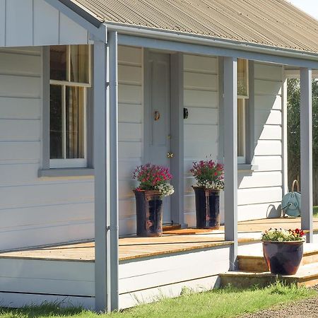 The Vicarage Martinborough Villa Exteriör bild